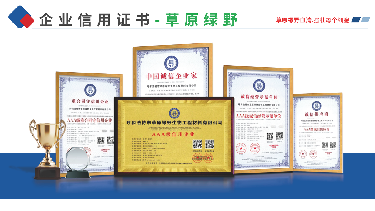 3.企業歷程的文字版-草原綠野_頁面_8.png